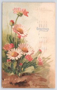 Artist Signed~Catherine Klein~White Pink African Daisies~Emb~Rotograph~1909 PC
