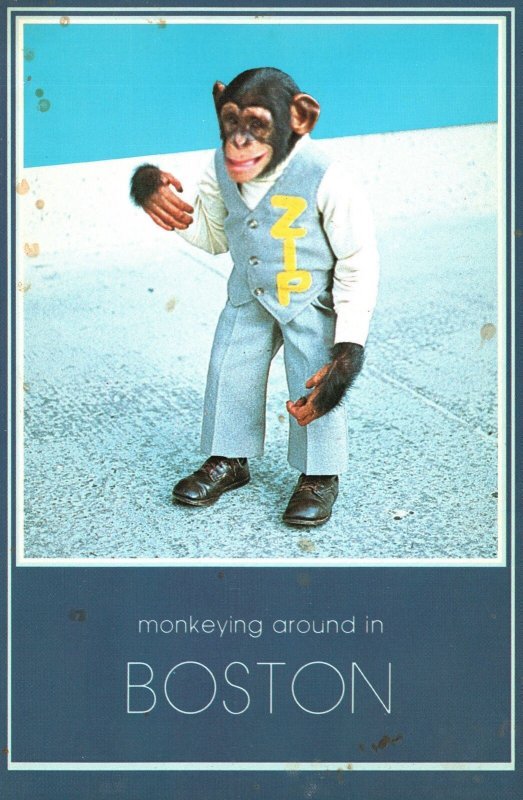 Postcard Monkeying Around Boston Massachusetts Klen Post Card Service