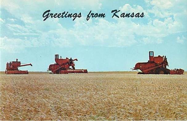 Ellis County Wheat Harvest Greetings from Kansas KS