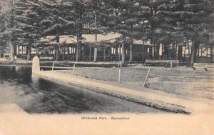 Wildwood Park Connectict Waterfront Scenic View Antique Postcard K72895