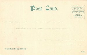 LP79  St. Augustine  Florida Postcard   Birds eye view 