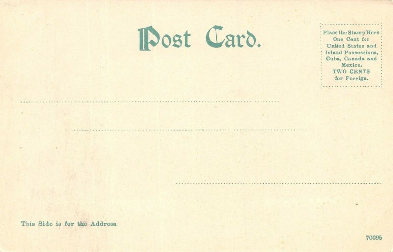 LP79  St. Augustine  Florida Postcard   Birds eye view 