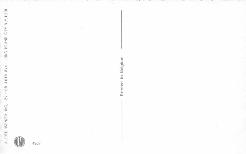 G91/ Dressed Cats Alfred Mainzer Postcard c1940s Art Class Bow Arrow 24