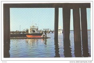 Fishing on the catwalk beloow the U.S. Highway 50 Bridge, Ocena City, Marylan...