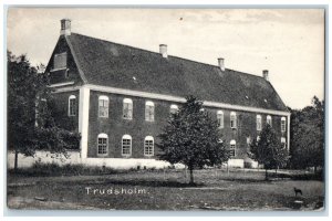 c1910 House View Trundholm Mose Nørre Asmindrup Denmark Unposted Postcard 