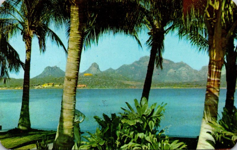 Mexico Guaymas Tropical Landscape 1968