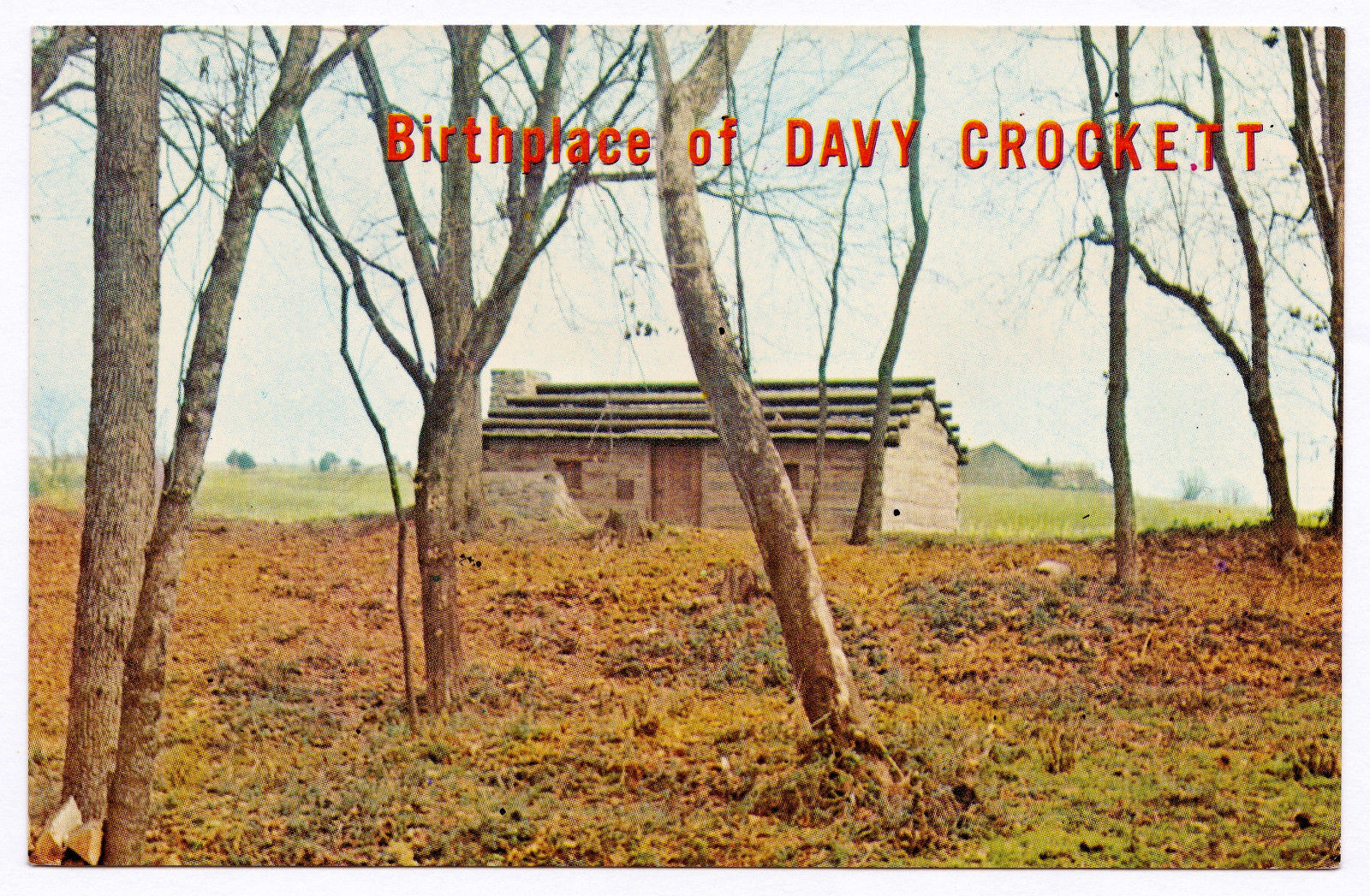 RARE Vintage 1950s Birthplace of Davy Crockett Limestone TN Pioneer The Alamo United States