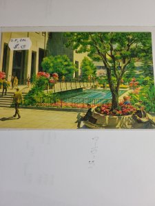 San Francisco garden