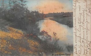 Black River Michigan Scenic View Tinted Real Photo Vintage Postcard AA110768