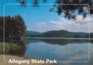 Red House Lake Alleghany State Park New York
