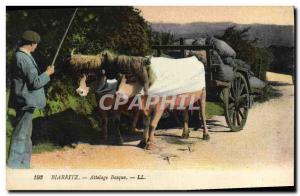 Old Postcard Folklore Basque Biarritz hitch Oxen