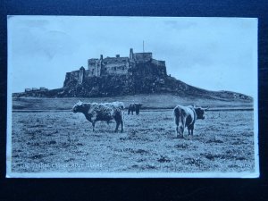 Northumberland LINDISFARNE CASTLE Holy Island c1940s Postcard by Valentine