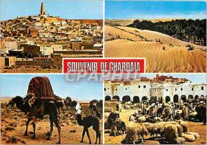 Modern Postcard Souvenir Algeria Ghardaia