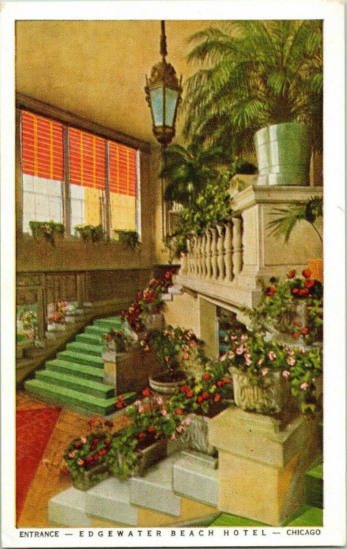 Edgewater Beach Hotel Chicago Postcard Divided Back Postcard Unposted Unused 