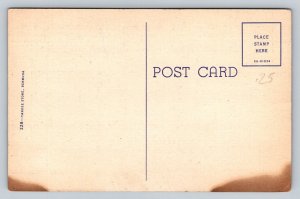 Fishing at the Devil's Hole   Bermuda   Postcard