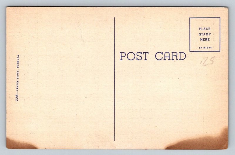 Fishing at the Devil's Hole   Bermuda   Postcard