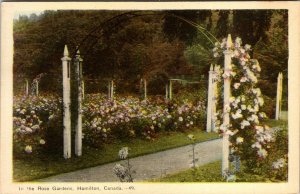 VINTAGE POSTCARD THE ROSE GARDENS AT HAMILTON ONTARIO CANADA c 1925 WHITE BORDER