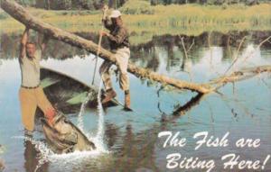 Humor Exageration Fish Eating Man's Leg The Fish Are Biting Here Lake County ...