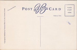 Lord Nelson Hotel Halifax NS Nova Scotia Unused Valentine-Black Postcard H40