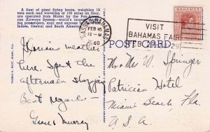 USA 1940 Pan Am Flying Clipper Ship Linen Airplane Curteich Bahamas Postage