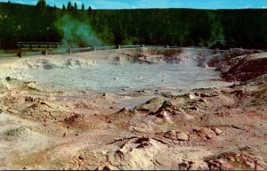 Yellowstone National Park Fountain Paint Pot At Lower Geyser Basin