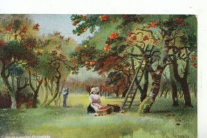 Sussex Postcard - Gathering Apples - Cuckfield - Ref 13520A