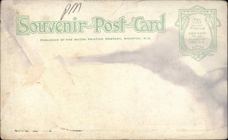 Sydney Nova Scotia Park Boat Vintage Postcard