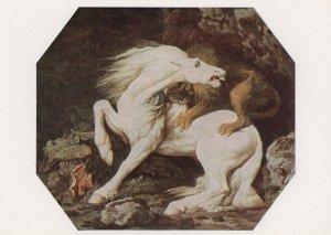 George Stubbs Horse Attacked By A Lion Tate Painting Postcard