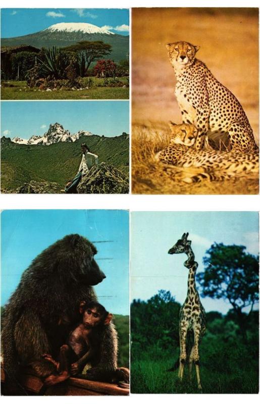 KENYA 96 AFRIQUE AFRICA Postcards CPM Mostly 1950-1990 (L3287)