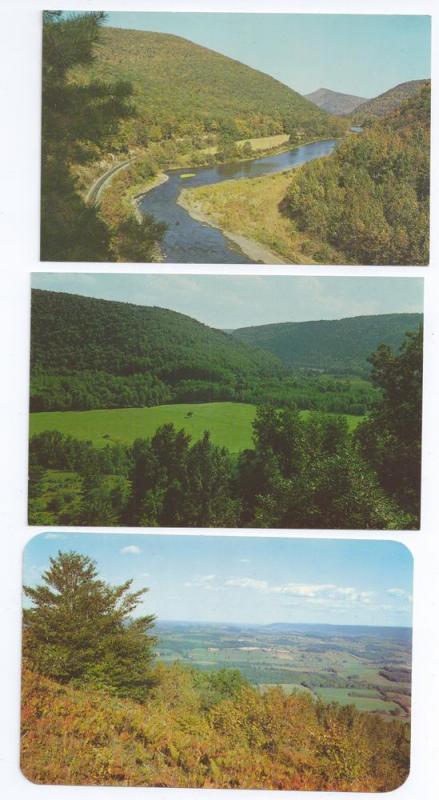 Pennsylvania Scenes Lambs Lookout Loyalsock PA (3 cards)