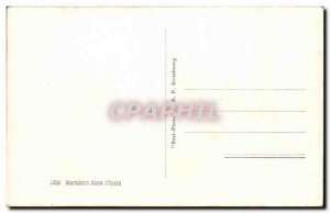 Old Postcard Marabout in I oasis Donkey Donkey