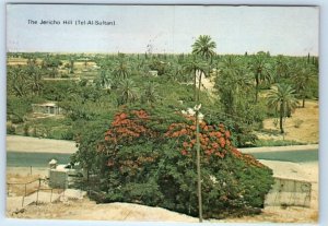 The Jericho Hill Tel-Al-Sultan ISRAEL 1980 Postcard