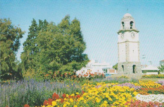 Seymour Square Blenheim New Zealand Postcard