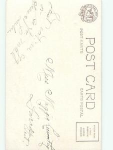 Divided-Back BIRDS SCENE Pretty Postcard AA9071