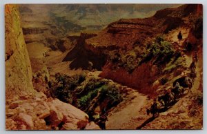 By Mule Train Into The Grand Canyon National Park Riders AZ Postcard L12