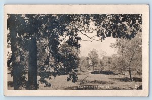 Grundy Center Iowa IA Postcard RPPC Photo Forest Scene c1910's Posted Antique