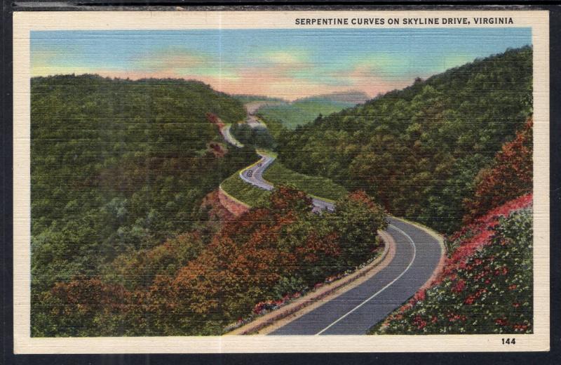 Serpentine Curve on Skyline Drive,VA