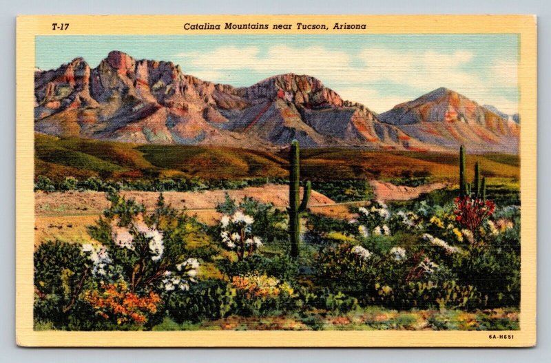 Catalina Mountains near Tucson Arizona Vintage Linen Postcard 1668