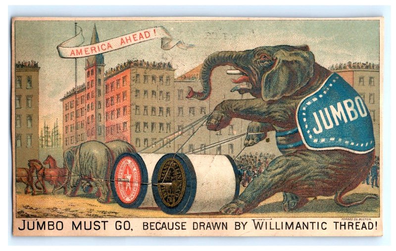 1881 Atlanta Expo. Willimantic Spool Cotton Jumbo Elephant A. Spotts & Co. P81