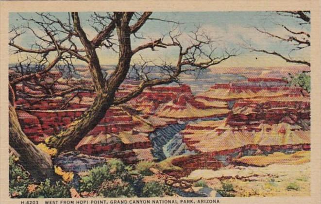 Arizona Grand Canyon Looking West From Hopi Point Fred Harvey