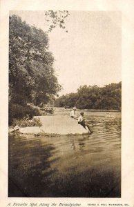 Wilmington Delaware Brandywine River Scenic View Vintage Postcard AA30291