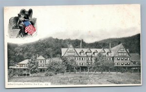 LAKE GEORGE NY SILVER BAY HOTEL ANTIQUE POSTCARD by ARTHUR LIVINGSTON