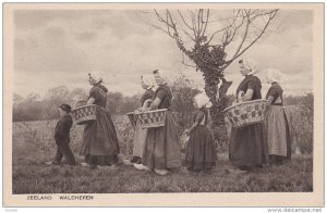 ZEELAND , Netherlands , 00-10s ; Walcheren #2