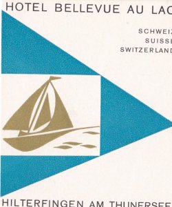 Switzerland Hilterfingen Hotel Bellevue Au Lac Vintage Luggage Label sk2701