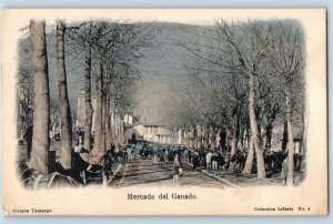 Spain Postcard Mercado del Ganado Livestock Market c1905 Unposted Antique