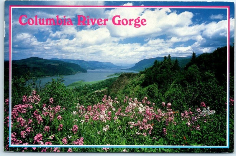 Postcard - Scene from Crown Point, Columbia River Gorge - Oregon