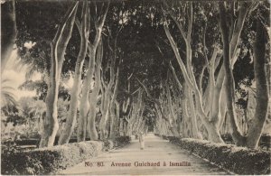 PC EGYPT, AVENUE GUICHARD Á ISMAILIA, Vintage Postcard (b43942)