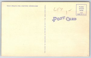 Fort Lauderdale Florida~Aerial View Of Winding River~Tichnor Vtg Linen Postcard