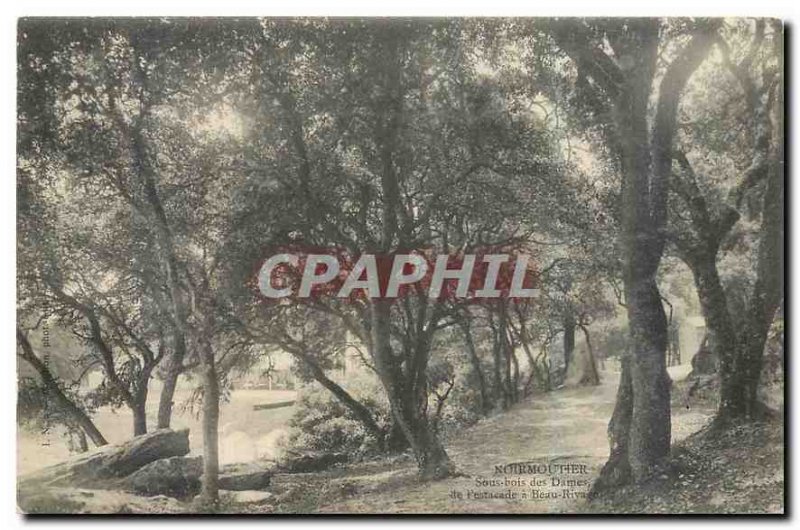 Old Postcard Noirmoutier Undergrowth Ladies