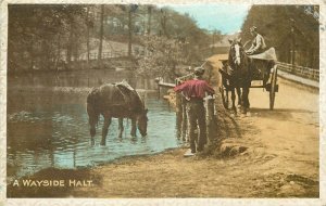 A Wayside halt horses postcard